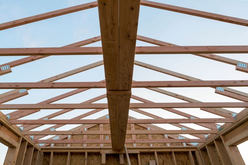 Roof Support Structures
